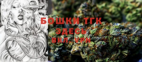 стаф Михайлов