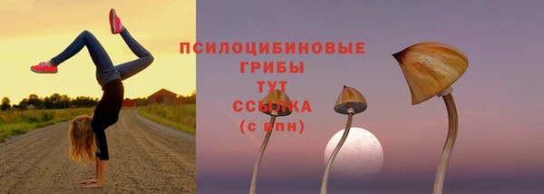 стаф Михайлов