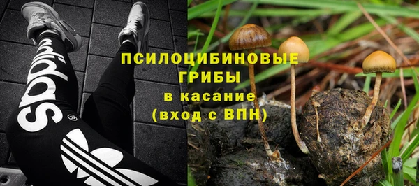стаф Михайлов