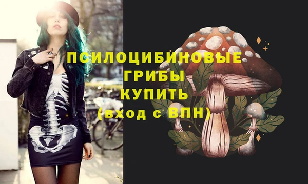 стаф Михайлов