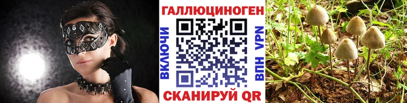 Псилоцибиновые грибы Magic Shrooms mega рабочий сайт Егорьевск как найти закладки