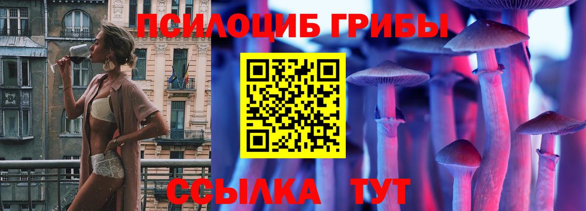 Псилоцибиновые грибы MAGIC MUSHROOMS Егорьевск