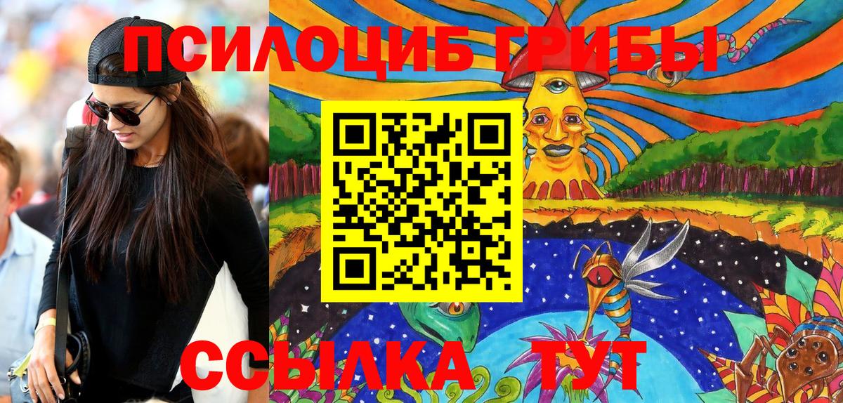 Псилоцибиновые грибы Psilocybe  Псилоцибиновые грибы MAGIC MUSHROOMS  Егорьевск 