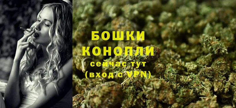 Бошки марихуана THC 21%  купить наркотики сайты  Егорьевск 